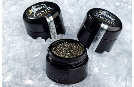 zwyer-caviar